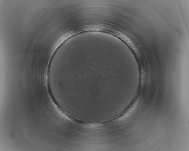 X0000113240802200910221059