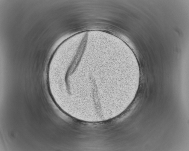 X0000113240803200910221059