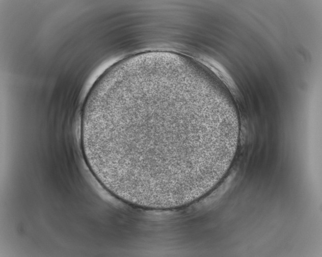 X0000113240804200910221059