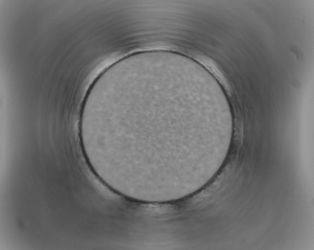 X0000113240805200910221059