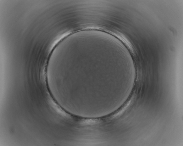 X0000113240806200910221059
