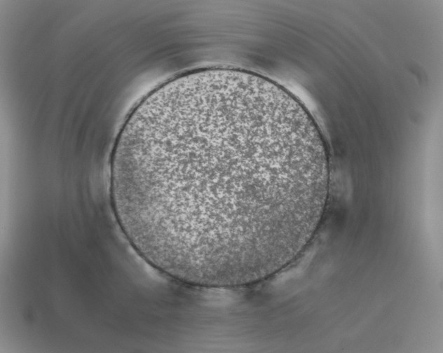 X0000113240807200910221059
