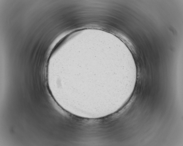 X0000113240808200910221059