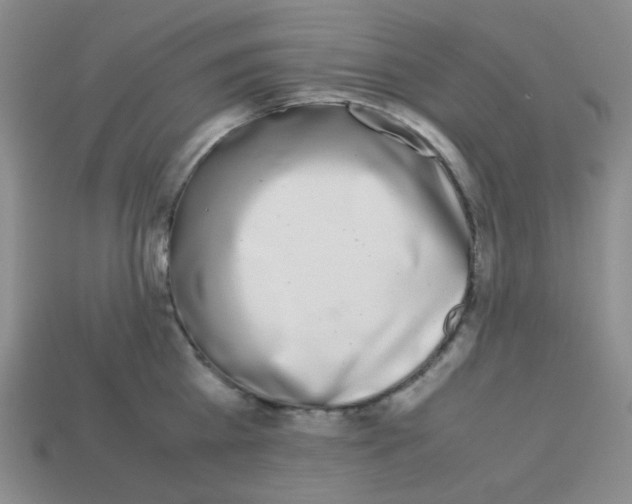 X0000113240809200910221059