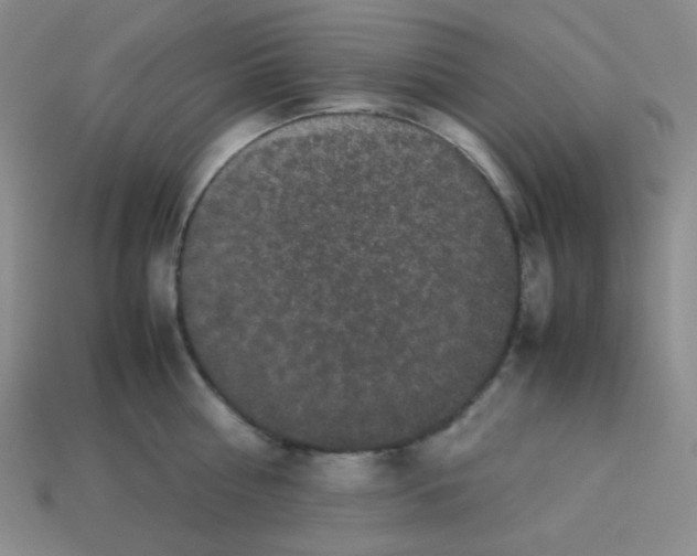 X0000113240810200910221059
