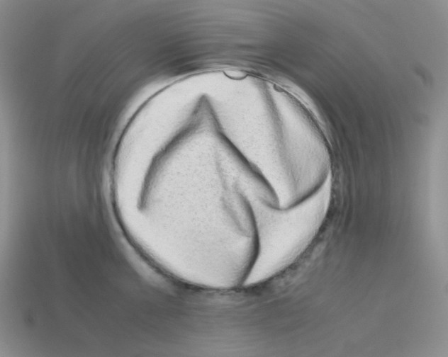 X0000113240811200910221059