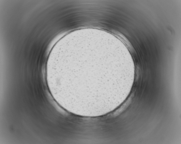 X0000113240812200910221059