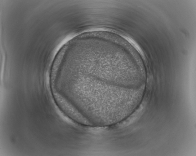 X0000113240813200910221059