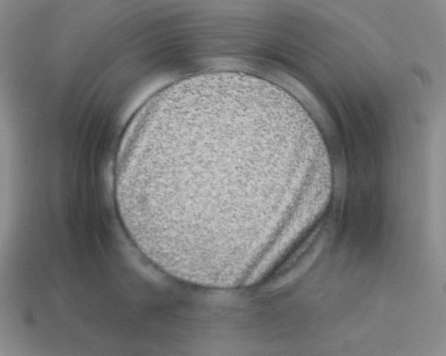 X0000113240814200910221059