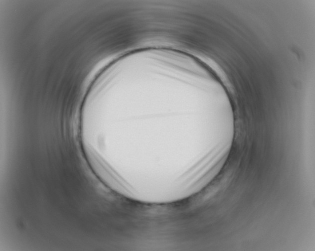 X0000113240815200910221059