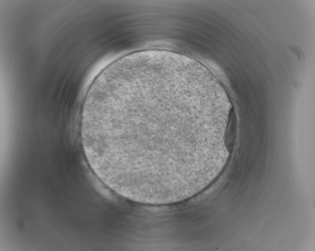 X0000113240816200910221059