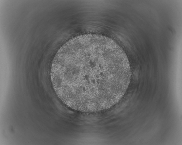 X0000113240817200910221058