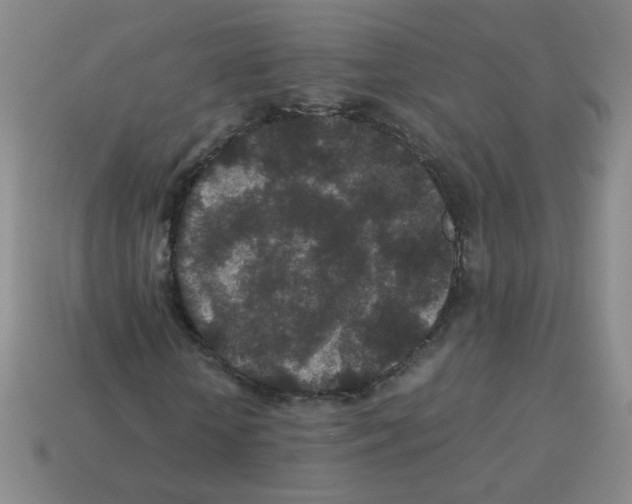 X0000113240818200910221058