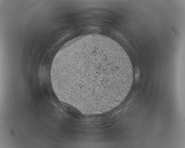 X0000113240819200910221058
