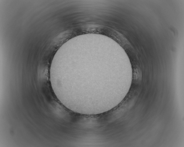 X0000113240820200910221058