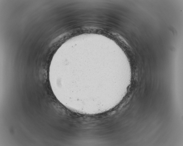 X0000113240821200910221058