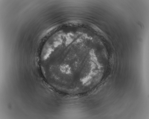 X0000113240822200910221058