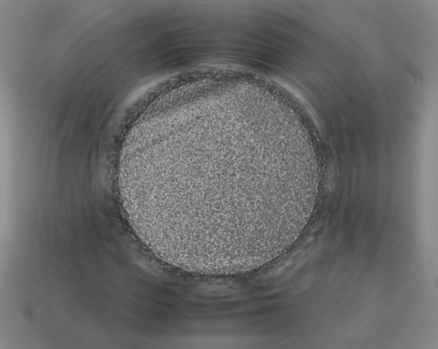 X0000113240823200910221058