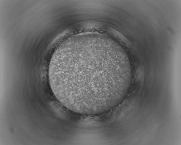 X0000113240824200910221058
