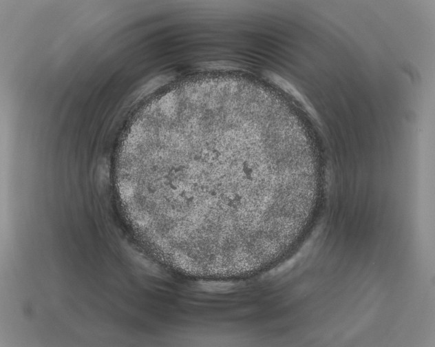 X0000113240825200910221058