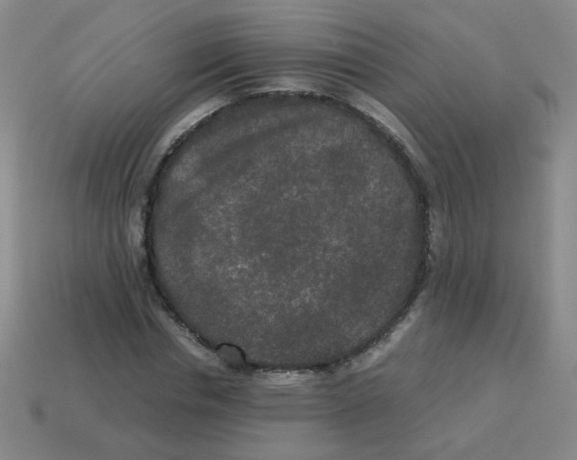 X0000113240826200910221059