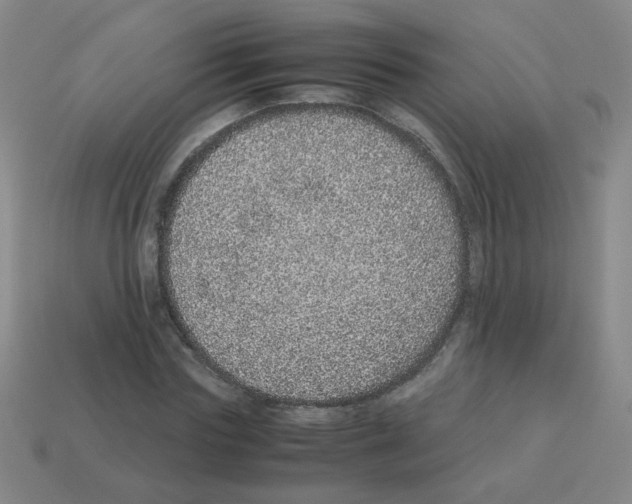X0000113240827200910221059