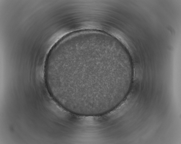 X0000113240828200910221059