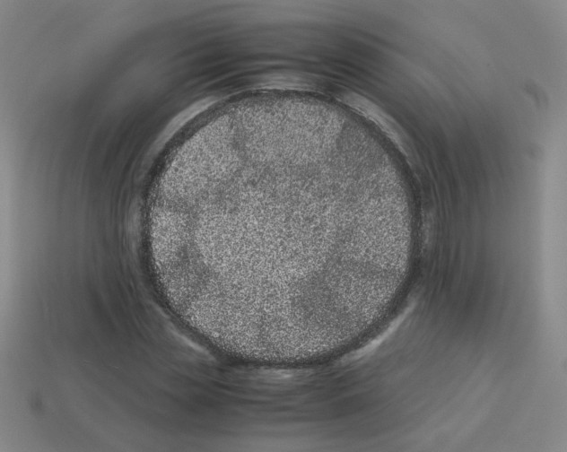 X0000113240829200910221059