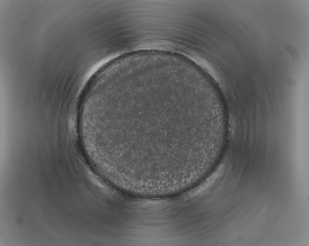 X0000113240830200910221059