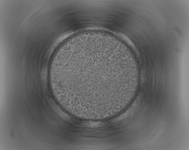 X0000113240831200910221059