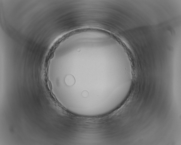 X0000113240832200910221059