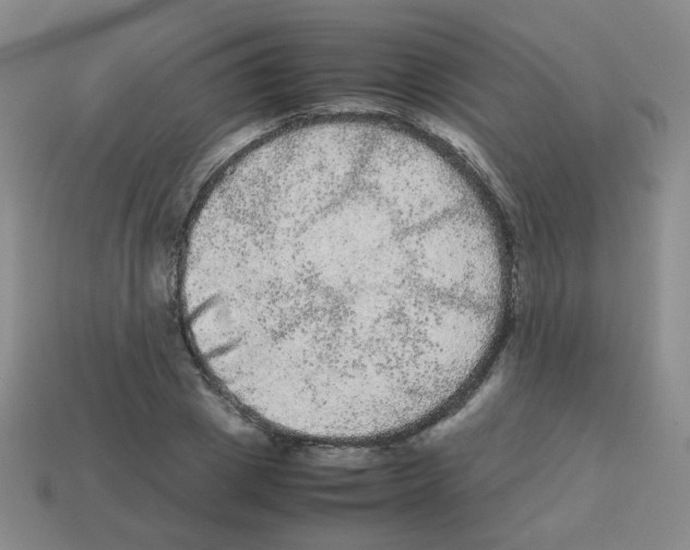 X0000113240833200910221059