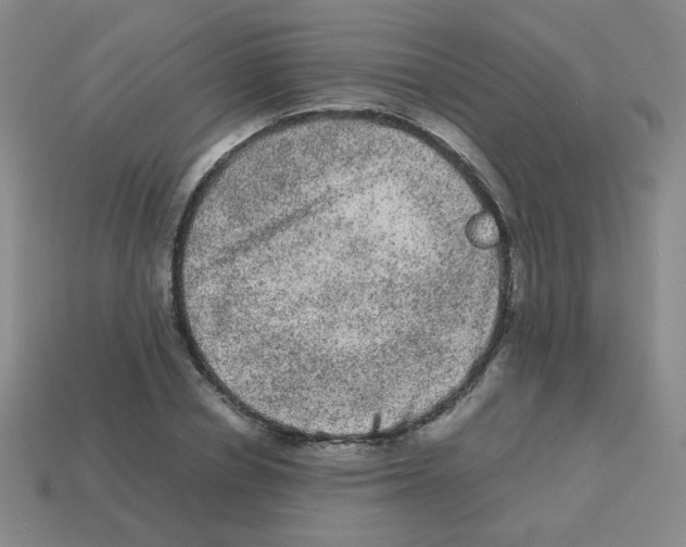 X0000113240834200910221059