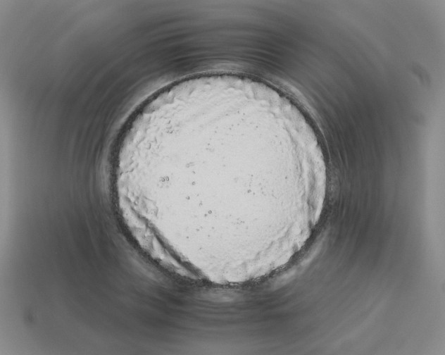 X0000113240835200910221059