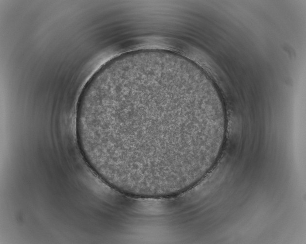 X0000113240836200910221059