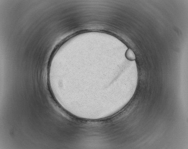 X0000113240840200910221059