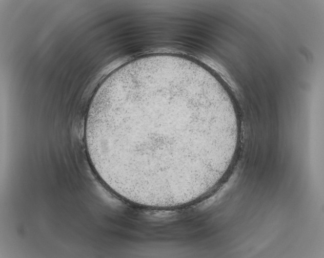 X0000113240841200910221059