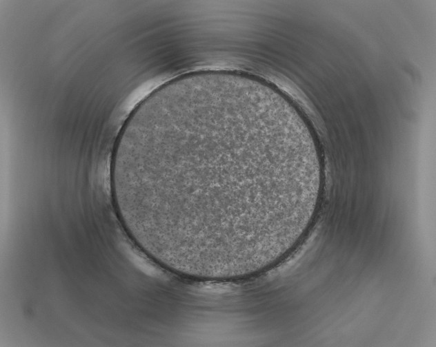 X0000113240842200910221059