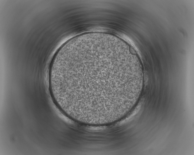 X0000113240843200910221059