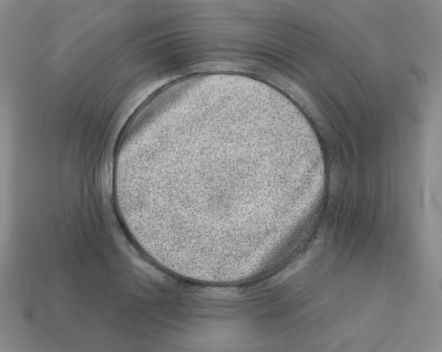 X0000113240844200910221059