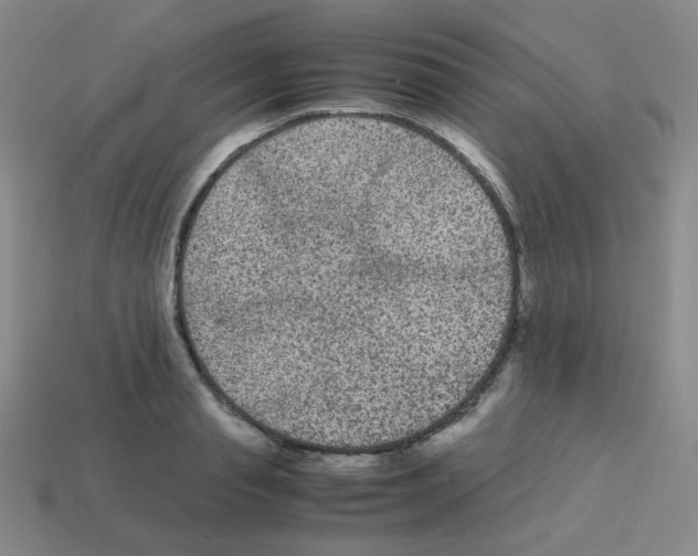 X0000113240845200910221059