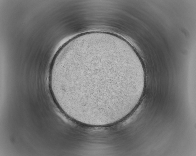X0000113240846200910221059