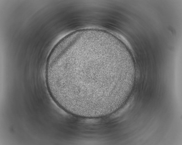 X0000113240847200910221059