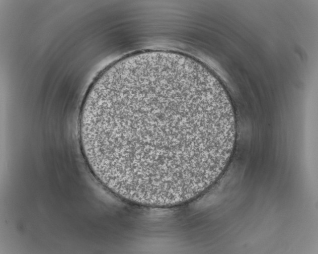 X0000113240848200910221059