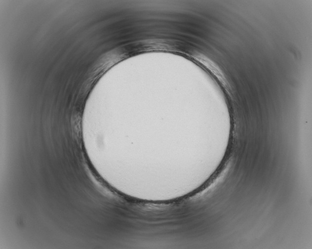 X0000113240849200910221059