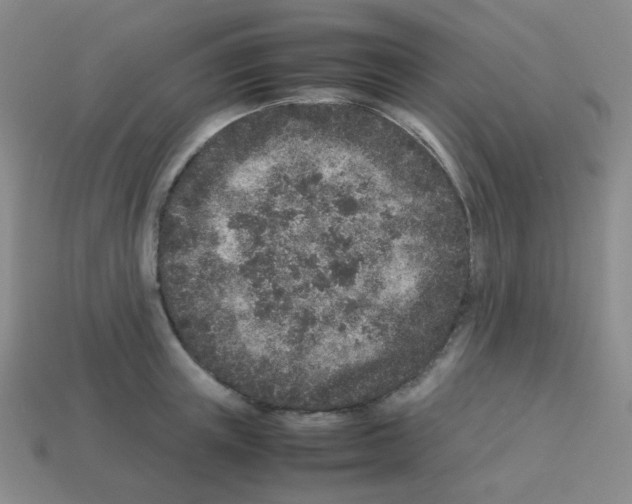 X0000113240851200910221059