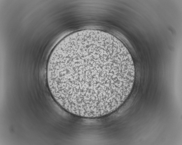X0000113240852200910221059
