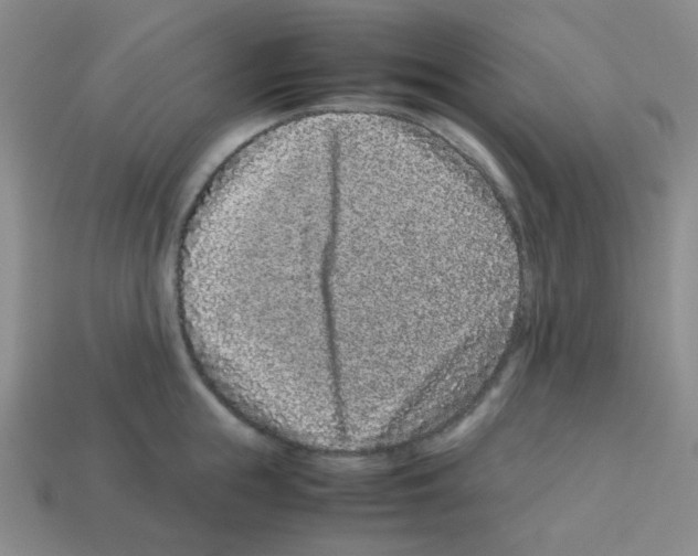 X0000113240855200910221059
