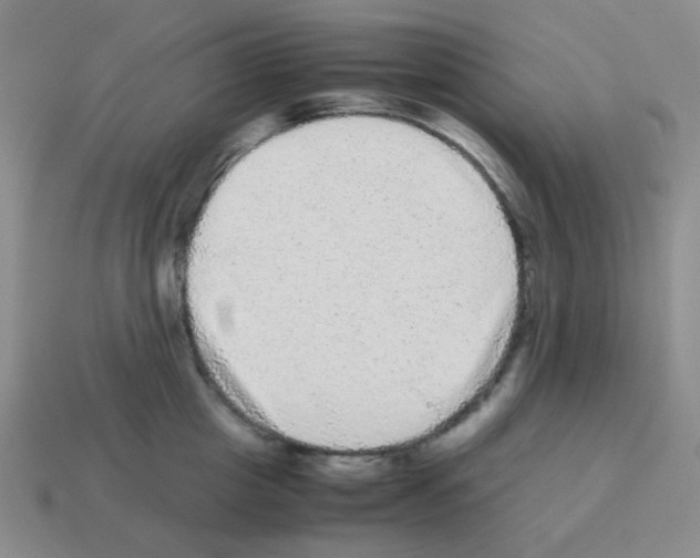 X0000113240857200910221059