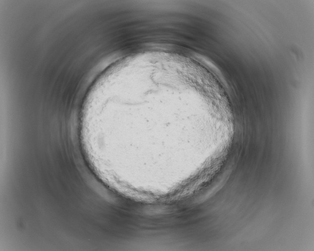 X0000113240859200910221059